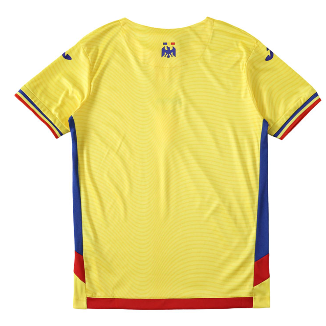 Tricou Romania 25/26 Home, Fan