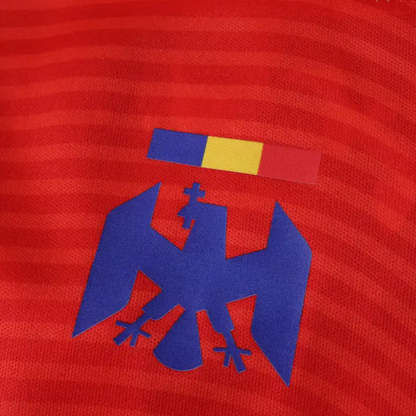 Tricou Romania 25/26 Away, Fan