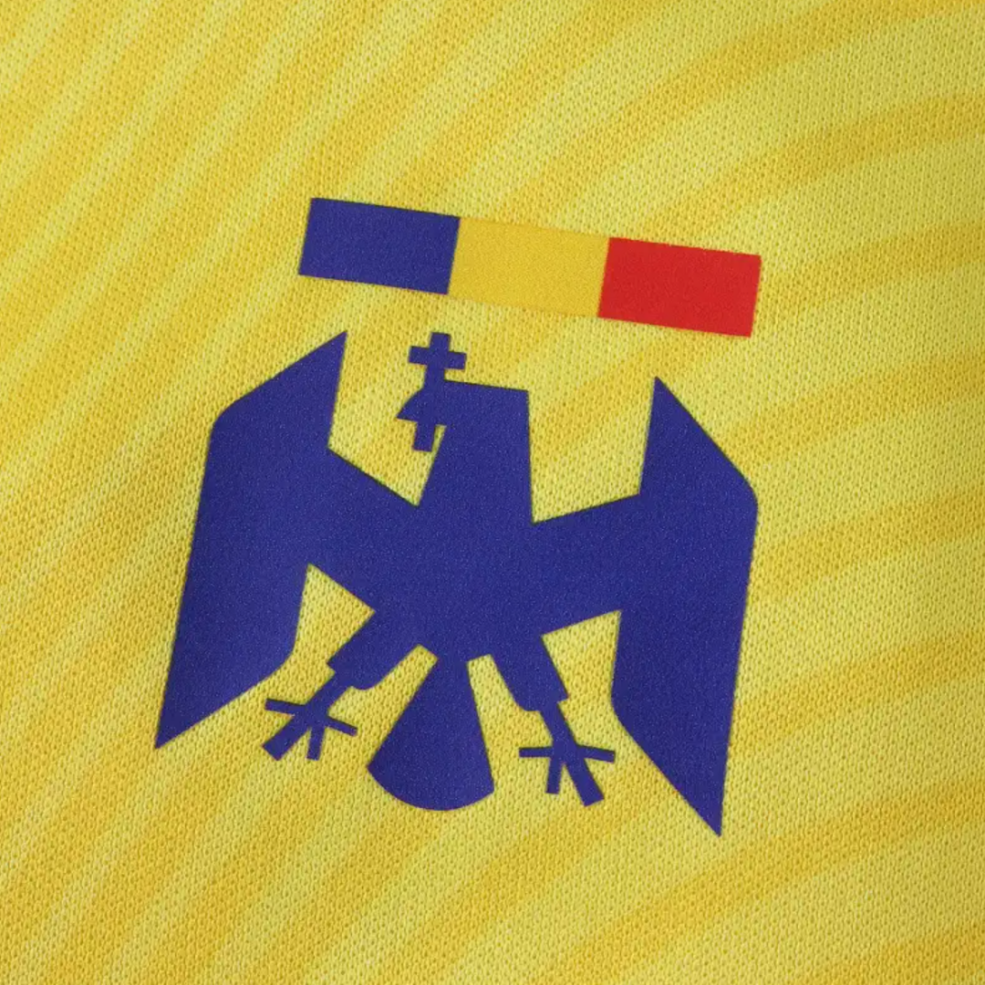 Tricou Romania 25/26 Home, Fan