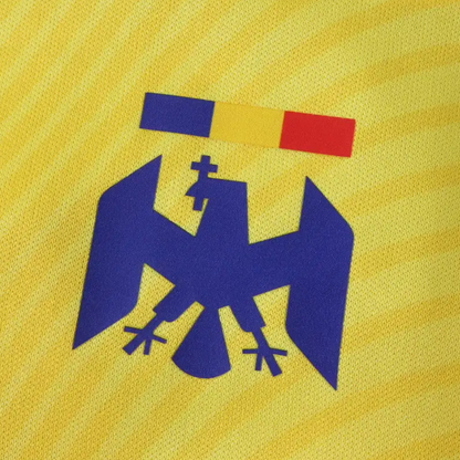 Tricou Romania 25/26 Home, Fan